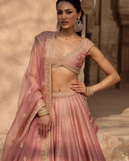 Fashion Dream Women Peach Fancy Fabric Lehenga